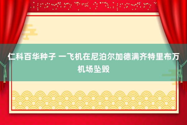 仁科百华种子 一飞机在尼泊尔加德满齐特里布万机场坠毁