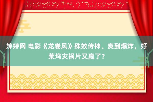 婷婷网 电影《龙卷风》殊效传神、爽到爆炸，好莱坞灾祸片又赢了？