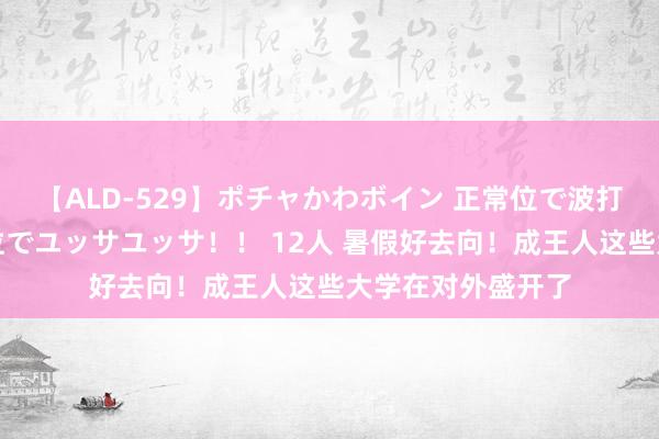 【ALD-529】ポチャかわボイン 正常位で波打つ腹肉！！騎乗位でユッサユッサ！！ 12人 暑假好去向！成王人这些大学在对外盛开了