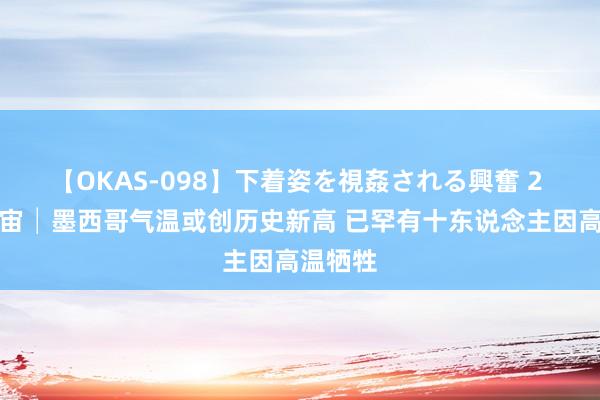 【OKAS-098】下着姿を視姦される興奮 2 不雅宇宙│墨西哥气温或创历史新高 已罕有十东说念主因高温牺牲