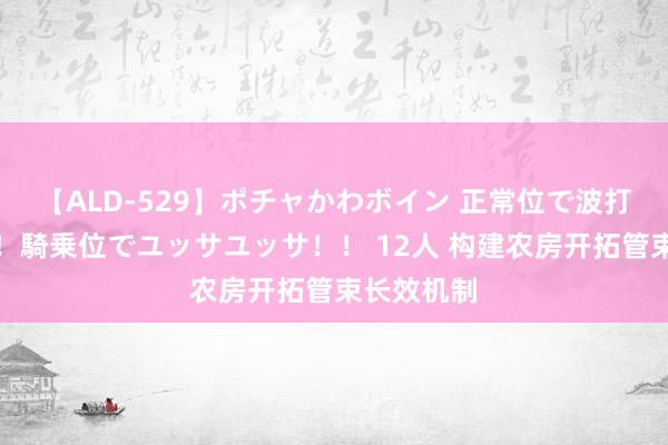 【ALD-529】ポチャかわボイン 正常位で波打つ腹肉！！騎乗位でユッサユッサ！！ 12人 构建农房开拓管束长效机制