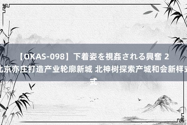 【OKAS-098】下着姿を視姦される興奮 2 北京亦庄打造产业轮廓新城 北神树探索产城和会新样式