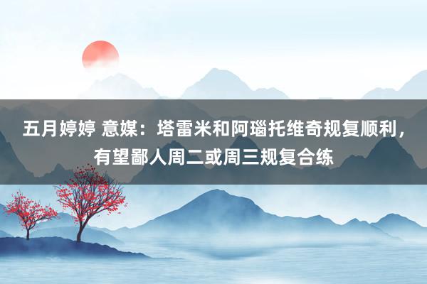 五月婷婷 意媒：塔雷米和阿瑙托维奇规复顺利，有望鄙人周二或周三规复合练