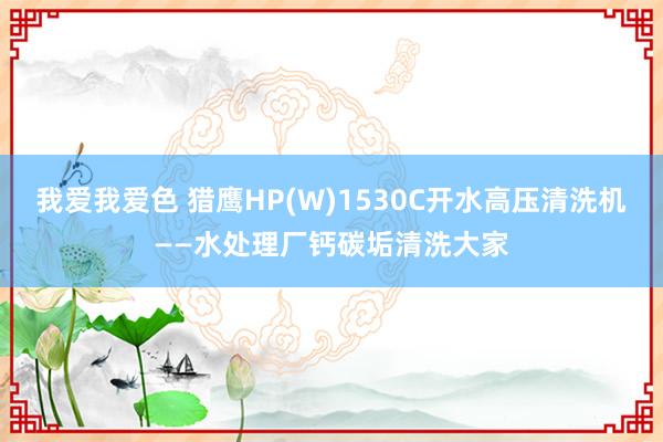 我爱我爱色 猎鹰HP(W)1530C开水高压清洗机——水处理厂钙碳垢清洗大家