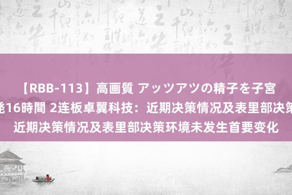 【RBB-113】高画質 アッツアツの精子を子宮に孕ませ中出し120発16時間 2连板卓翼科技：近期决策情况及表里部决策环境未发生首要变化