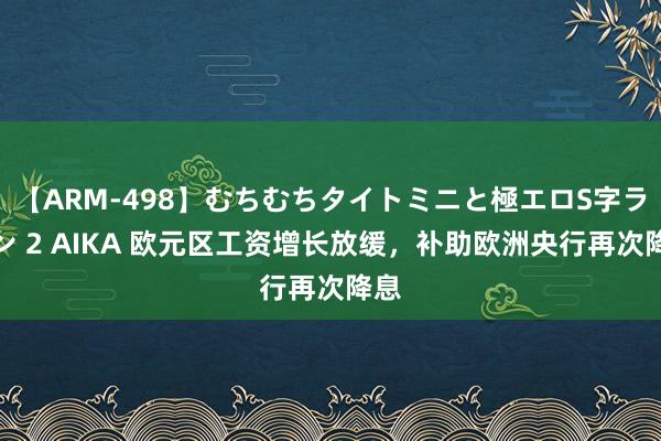 【ARM-498】むちむちタイトミニと極エロS字ライン 2 AIKA 欧元区工资增长放缓，补助欧洲央行再次降息