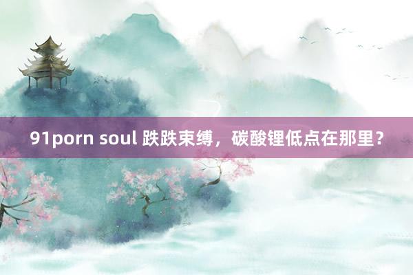 91porn soul 跌跌束缚，碳酸锂低点在那里？