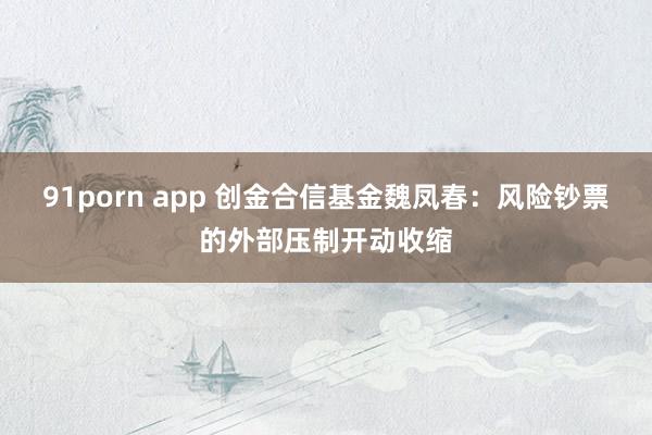 91porn app 创金合信基金魏凤春：风险钞票的外部压制开动收缩