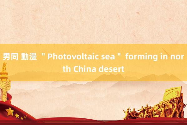 男同 動漫 ＂Photovoltaic sea＂ forming in north China desert