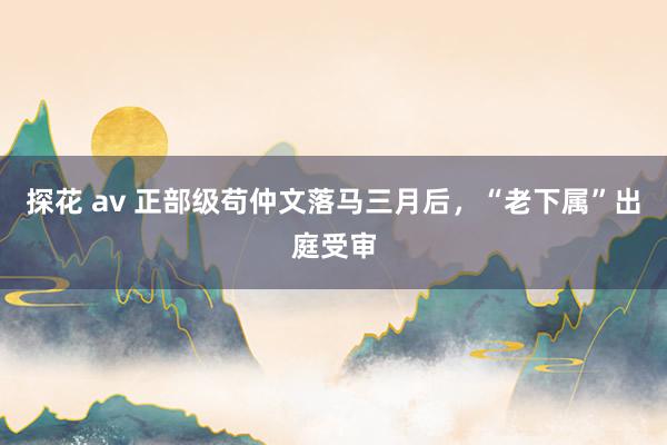 探花 av 正部级苟仲文落马三月后，“老下属”出庭受审