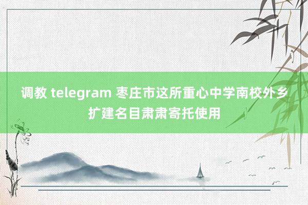 调教 telegram 枣庄市这所重心中学南校外乡扩建名目肃肃寄托使用