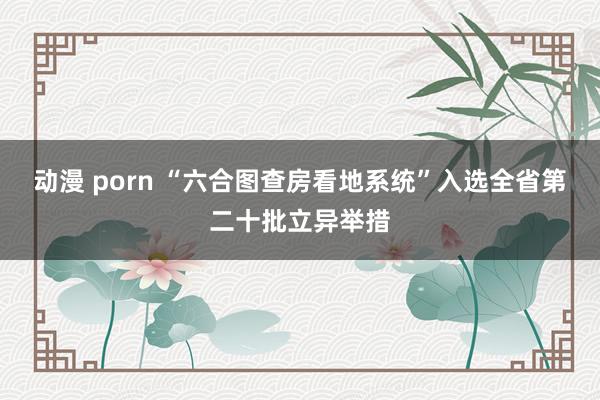 动漫 porn “六合图查房看地系统”入选全省第二十批立异举措